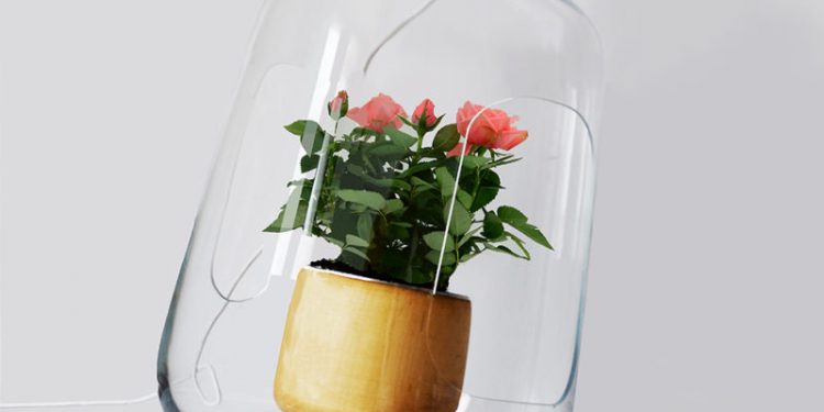 Milo, la lámpara capaz de producir un efecto invernadero