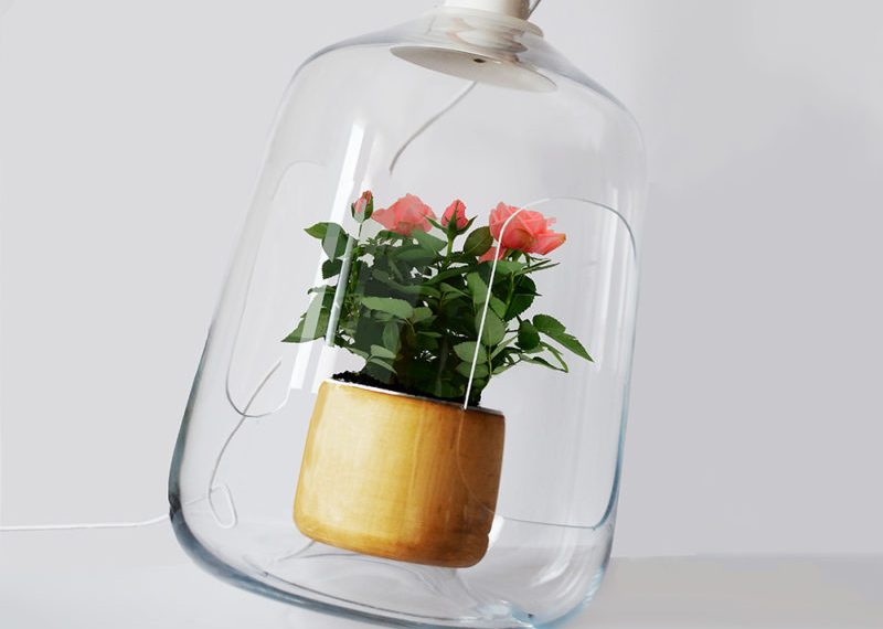 Milo, la lámpara capaz de producir un efecto invernadero