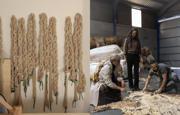 Oro Blanco: revitalizando la industria de la lana